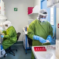 Dozele de vaccin vor fi distribuite în țară. FOTO: Pexels.com