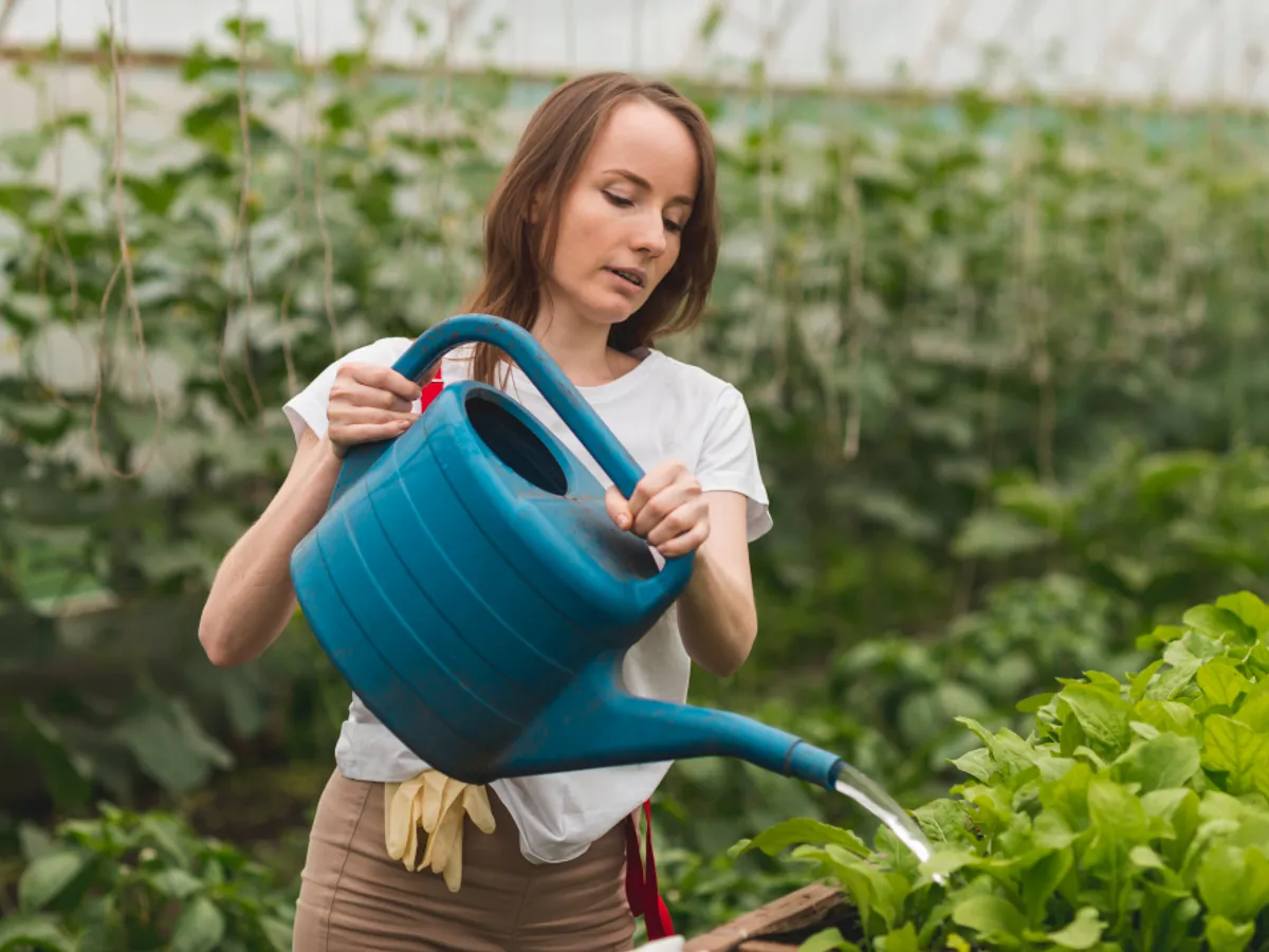 Era stropitoarelor e de domeniul trecutului. Cum să îți uzi plantele în zilele toride?