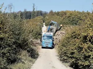 Stivele de lemne stau nepăzite în Austria