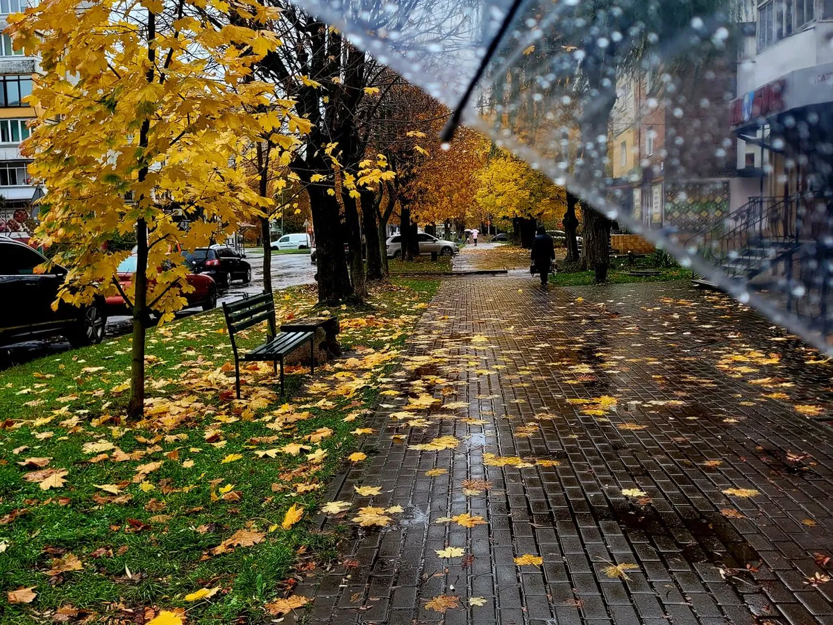 Toamna Foto: Pexels (imagine cu rol ilustrativ)