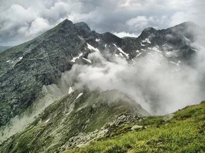 Câini din rasa kangal de la o stână au rănit grav un turist în Munții Făgăraș - Foto: Pixabay (cu rol ilustrativ)