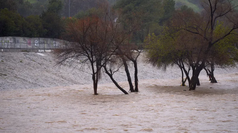 Acum vine viitura pe râul Bega. Cod roşu de inundaţii. Se va întâmpla în orele următoare - Foto: Profimedia Images