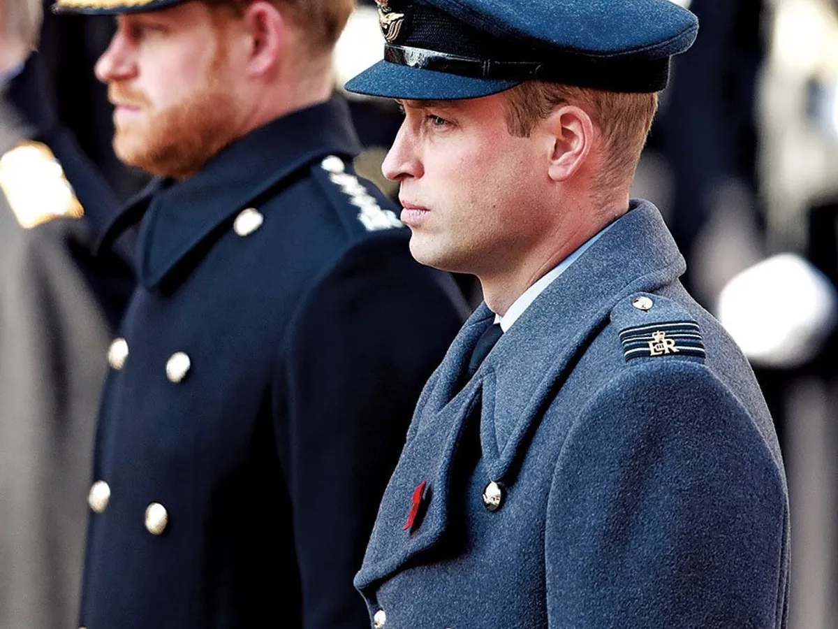 Prinții William și Harry la un memorial al Primului Război Mondial