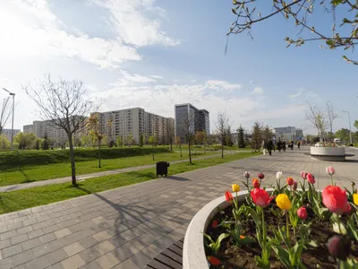 Cel mai lung parc liniar din Europa se termină în 2026. Cum se transformă radical vestul Capitalei