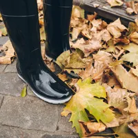 Persoană încălțată cu cizme de cauciuc în frunze pe trotuar - Foto: Freepik