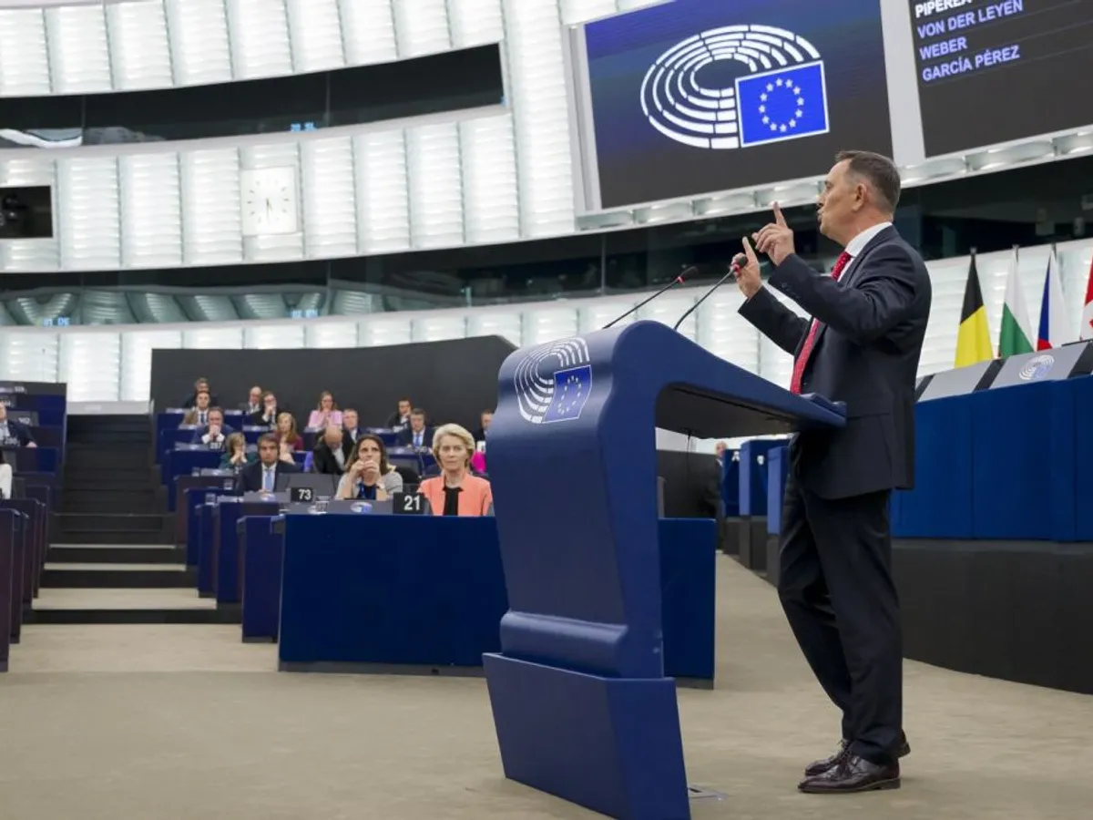 Europarlamentarul AUR Gheorghe Piperea, discurs în plenul Parlamentului European - Foto: Profimedia Images