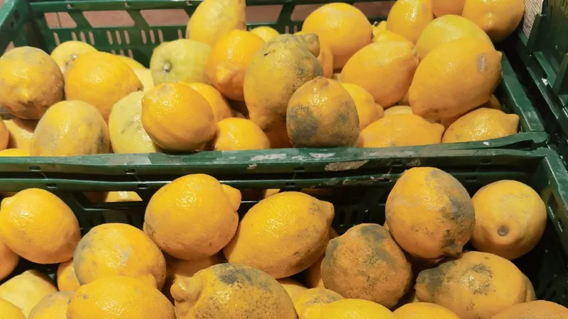 Kaufland, Mega Image şi Carrefour din Capitală, amendate de ANPC/foto:bzi