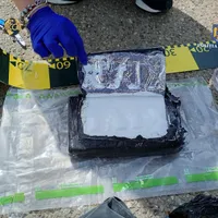 17 kg de cannabis urmau să se vândă pe litoral, de 1 Mai. Polițiștii au împânzit stațiunile Foto: DIICOT