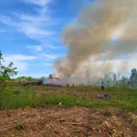 Incendiu de vegetație în Parcul Grozăvești - Foto: ISUBIF