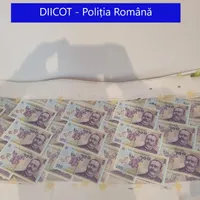Artizanii "super leului", trimiși în judecată/FOTO: DIICOT