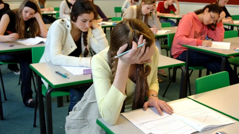 Simularea examenului de Bacalaureat: Limba şi literatura română, prima probă. Calendarul complet - Foto: Profimedia images - Caracter ilustrativ