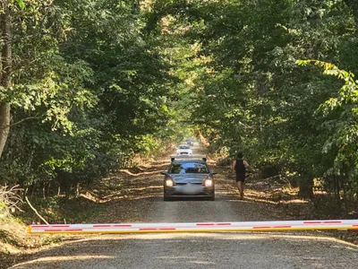 Drumul forestier din Pădurea Băneasa - Foto: Platforma Civică Împreună pentru Centura Verde