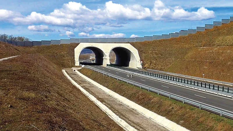 Tunelurile pentru urși de pe Lugoj–Deva, finalizate cu un miliard