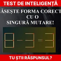 Test de inteligență Foto: Newsweek