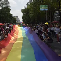 Israelul interzice terapia de conversie care vizează persoanele LGBTQ+/FOTO: PIxabay