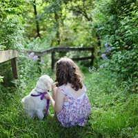 O fetiță dată dispărută e găsită, la 5 km, dormind lângă un câine într-o pădure - Foto: Pexels / Leah Kelly (Imagini cu rol explicativ)