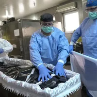 Bilanțul negru COVID: peste 5,6 milioane de oameni și-au pierdut viața de la începutul pandemiei. / Foto: aljazeera.com
