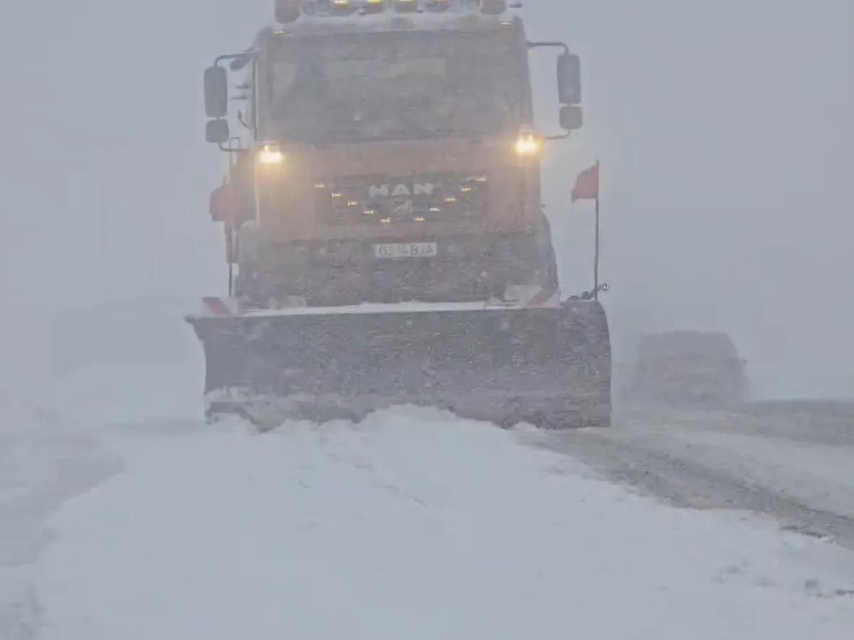 Ninsoare - Foto: Facebook/Meteoplus