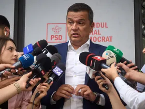 Președintele interimar al PSD, Sorin Grindeanu - Foto: Profimedia images