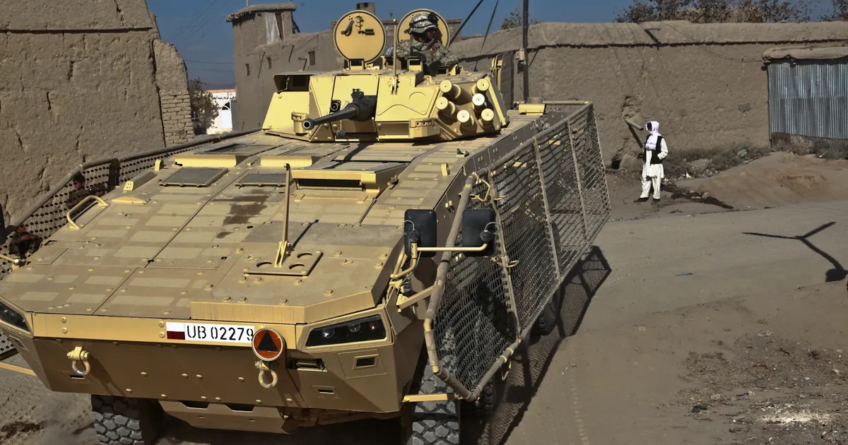 Polonia, program de pregătire militară pentru 400.000 de oameni pe an. România are obiectivul de 10.000 • Newsweek România