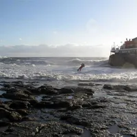 Dezastru ecologic în Marea Neagră. Vicepreședintele PE cere Comisiei Europene să ia măsuri - Foto: Profimedia Images (rol ilustrativ)