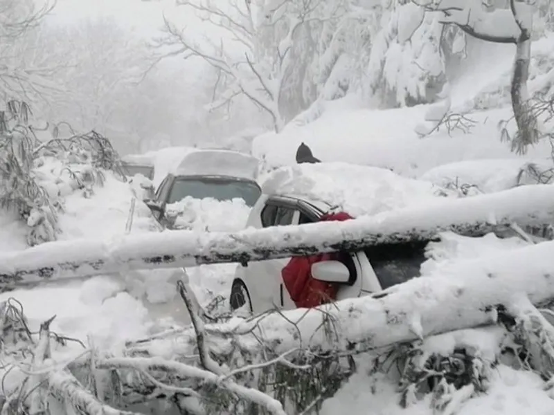 21 de turiști blocați în mașini au murit de frig /foto: reuters