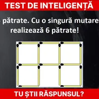 Test de inteligență Foto: Newsweek