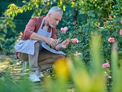 400 lei în plus la pensie din luna mai. Care pensionarii iau bani în plus săptămâna viitoare?  - Foto: Freepik
