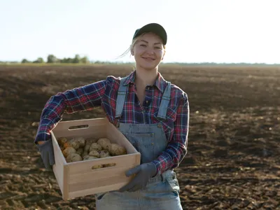 Femeie care are o ladă cu cartofi - Foto: Freepik (Imagine cu rol ilustrativ)