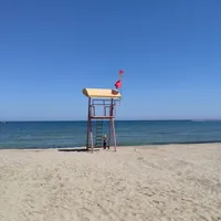 O femeie a murit în timp ce făcea plajă. A fost zdrobită de un buldozer, nu a avut nicio șansă - Foto: Arhiva