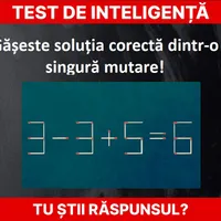 Test de inteligență Foto: Timesofindia / Newsweek România
