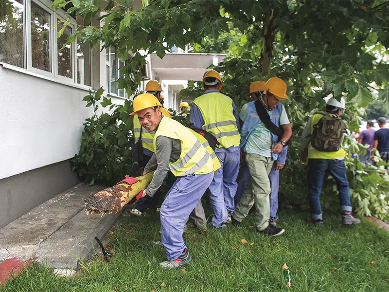 Mai mulți muncitori vietnamezi  care lucrau la anveloparea unui bloc, au participat și la înlăturarea unui  copac doborât de furtună în București - Foto: INQUAM PHOTOS/ Octav Ganea