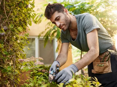 Grădinar - Foto: Freepik (rol ilustrativ)