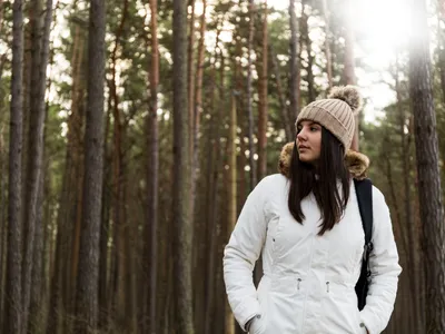 Pădurea Băneasa: conservarea biodiversității și dezvoltarea durabilă a orașului, analizate de Academia Română - Foto: Freepik (Imagine cu rol ilustrativ)