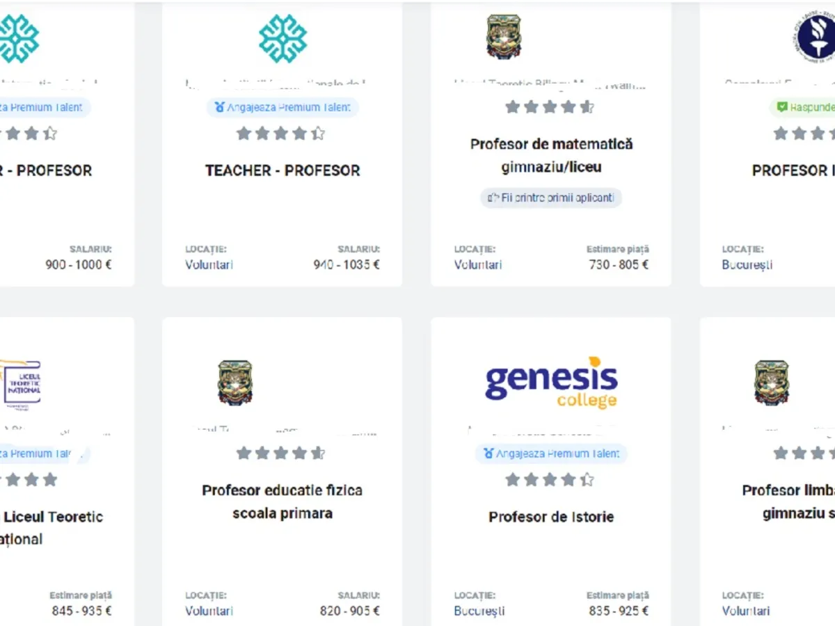 salarii profesori privat Foto: captură best jobs