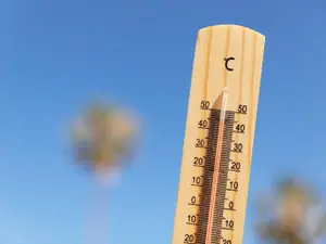 România se topește la 40 de grade Celsius. Ce regiuni vor fi „calamitate"? - Foto: Freepik.com (Imagine cu rol ilustrativ)