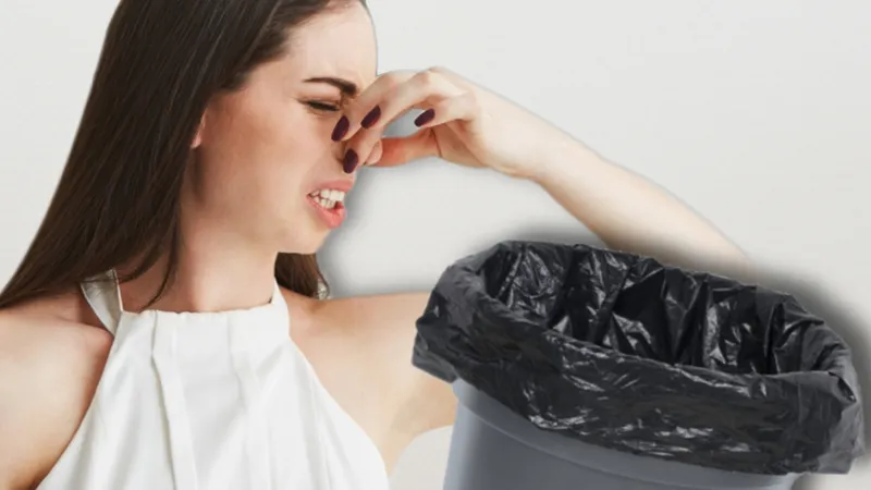 Alimentul din bucătărie care te scapă de mirosul urât din gunoi. Cum îl folosești, ce beneficii are? - Foto: Profimedia Images (imagine cu rol ilustrativ)