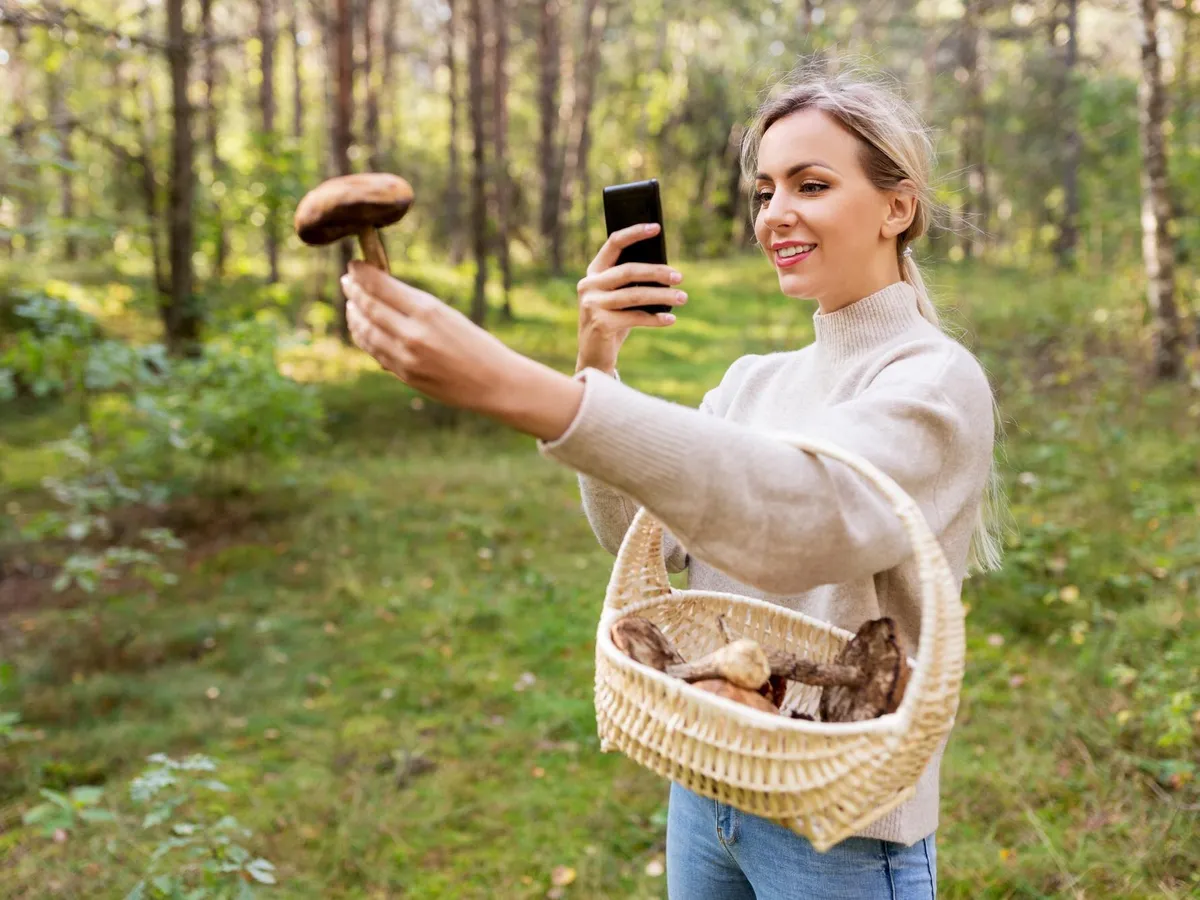 De ce riști amendă de până la 5.000 de lei dacă ieși la „plimbare” în pădure? N-ai voie! - Foto: Freepik