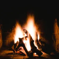 Încălzirea pe lemne va fi mai scumpă anul acesta. Cât va costa un metru cub de lemn pentru foc Foto: Freepik (fotografie cu caracter ilsutrativ)