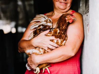 Femeie care crește găini - Foto: Magnific.com (Imagine cu rol ilustrativ)