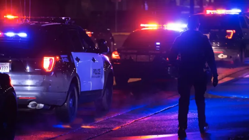 POliția în acțiune (rol ilustrativ) - Foto: exploreclarion.com