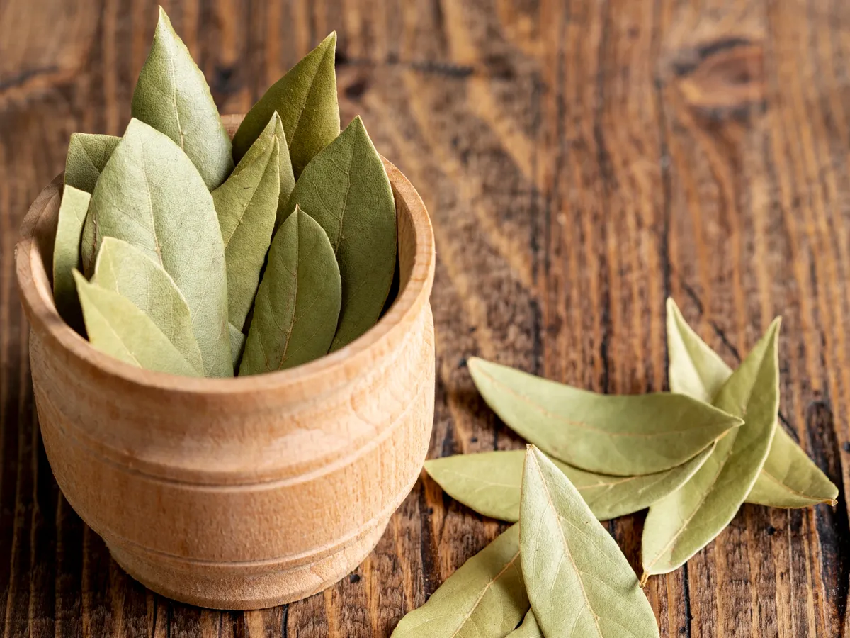 Frunze de dafin - Foto: Freepik (Imagine cu rol ilustrativ)