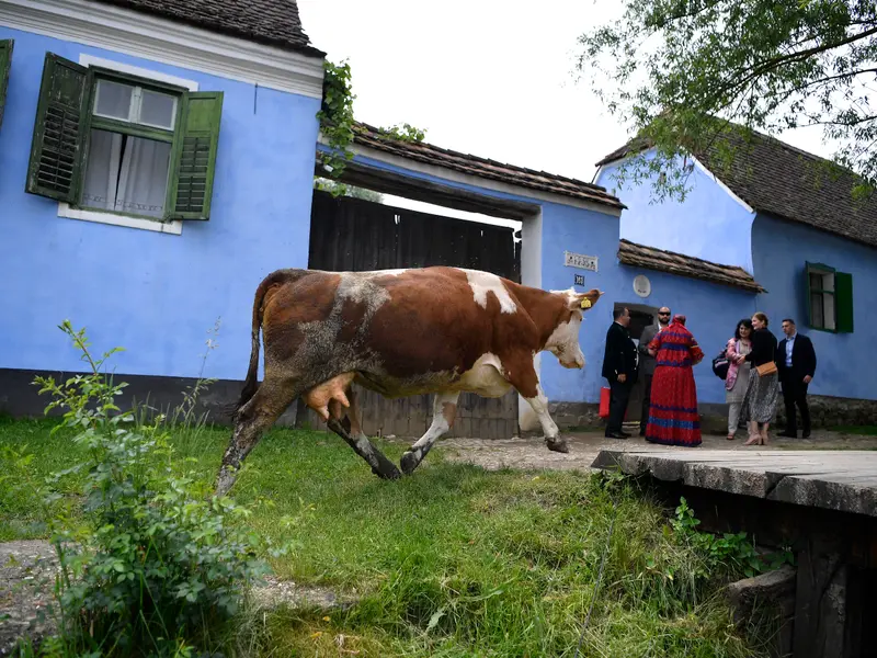 Regionalizare: 2.000 localități ar dispărea, mii de bugetari concediați - Foto: INQUAM PHOTOS / Alex Nicodim