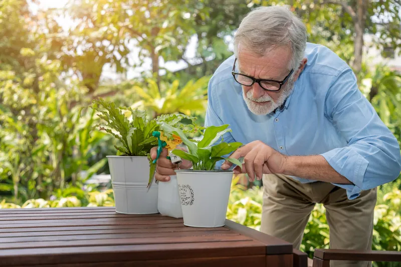 Pensionar - Foto: Freepik