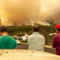 Incendiu devastator, în Insulele Canare. 2.500 de persoane au fost evacuate - Foto: Profimedia Images