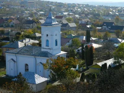 Șase mirosloveni din zece nu vor să fie orășeni. Studiul comandat de primărie - Foto: daibau.ro