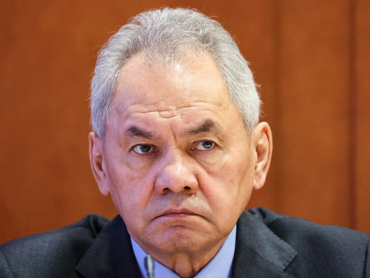 Serghei Șoigu - Foto: Profimedia images