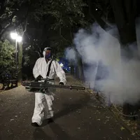 Autotitățile nu au luat măsuri din timp pentru eliminarea țânțarilor Foto: INQUAM Photos/Octav Ganea