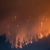 Situația incendiilor din Rusia se îmbunătățește deși încă sunt 177 de focare active/FOTO: Unsplash