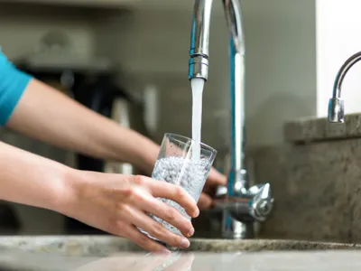 Apa Foto: Shutterstock